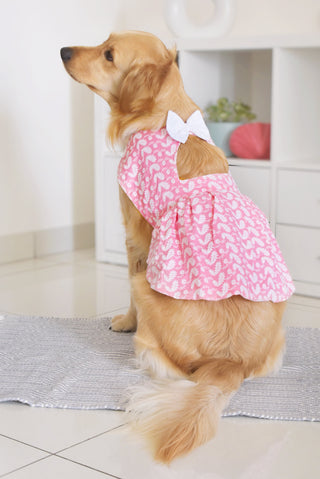 PAWS BY VASTRAMAY Dogs' Pink Chikankari Flared Dress With Attached Bow - Dogs Ethnic Wear by Vastramay - chikankari, Dog, Dog Apparel, Dog Dress, Dog Ethnic Dress, female dog outfit, Medium, Pink, Pure Cotton, Small