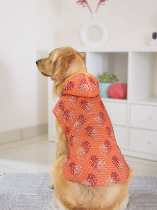 PAWS BY VASTRAMAY Dogs' Orange Printed Hooded Jacket - Dogs Ethnic Wear by Vastramay - Dog, Dog Apparel, Dog Ethnic Jacket, Dog Jacket, Large, Male dog outfits, Medium, Orange, Silk Blend, Small