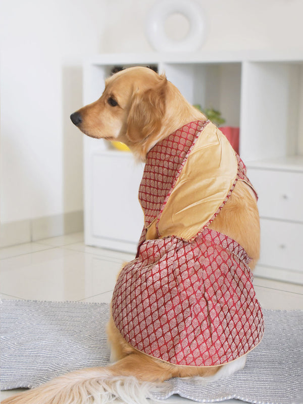 PAWS BY VASTRAMAY Dogs' Maroon Woven Silk Blend Lehenga Choli Set - Dogs Ethnic Wear by Vastramay - Dog, Dog Apparel, Dog Dress, Dog Ethnic Dress, female dog outfit, Large, Maroon, Medium, Silk Blend, Small