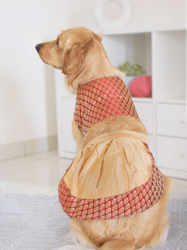 PAWS BY VASTRAMAY Dogs' Maroon Woven Silk Blend Lehenga Choli Set - Dogs Ethnic Wear by Vastramay - Dog, Dog Apparel, Dog Dress, Dog Ethnic Dress, female dog outfit, Large, Maroon, Medium, Silk Blend, Small