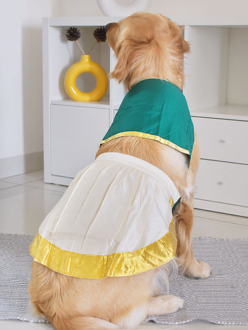 PAWS BY VASTRAMAY Dogs' Green Solid South Indian Style Lehenga Choli Set - Dogs Ethnic Wear by Vastramay - 0