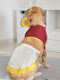 PAWS BY VASTRAMAY Dogs' Maroon Solid South Indian Style Lehenga Choli Set - Dogs Ethnic Wear by Vastramay - 0