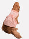 Dogs Lurex Stripe Dress