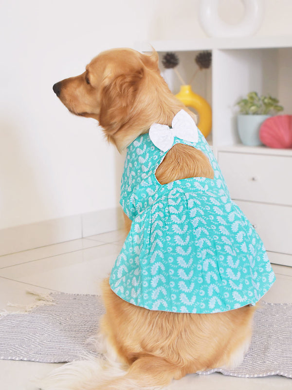 PAWS BY VASTRAMAY Dogs' Green Chikankari Flared Dress With Attached Bow - Dogs Ethnic Wear by Vastramay - chikankari, Dog, Dog Apparel, Dog Dress, Dog Ethnic Dress, female dog outfit, Green, Medium, Pure Cotton, Small