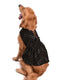 Dogs Allover Mirror Work Embroidered Dress