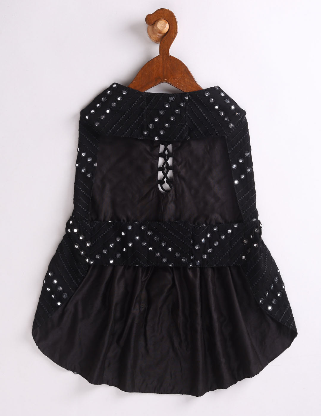 Dogs Allover Mirror Work Embroidered Dress