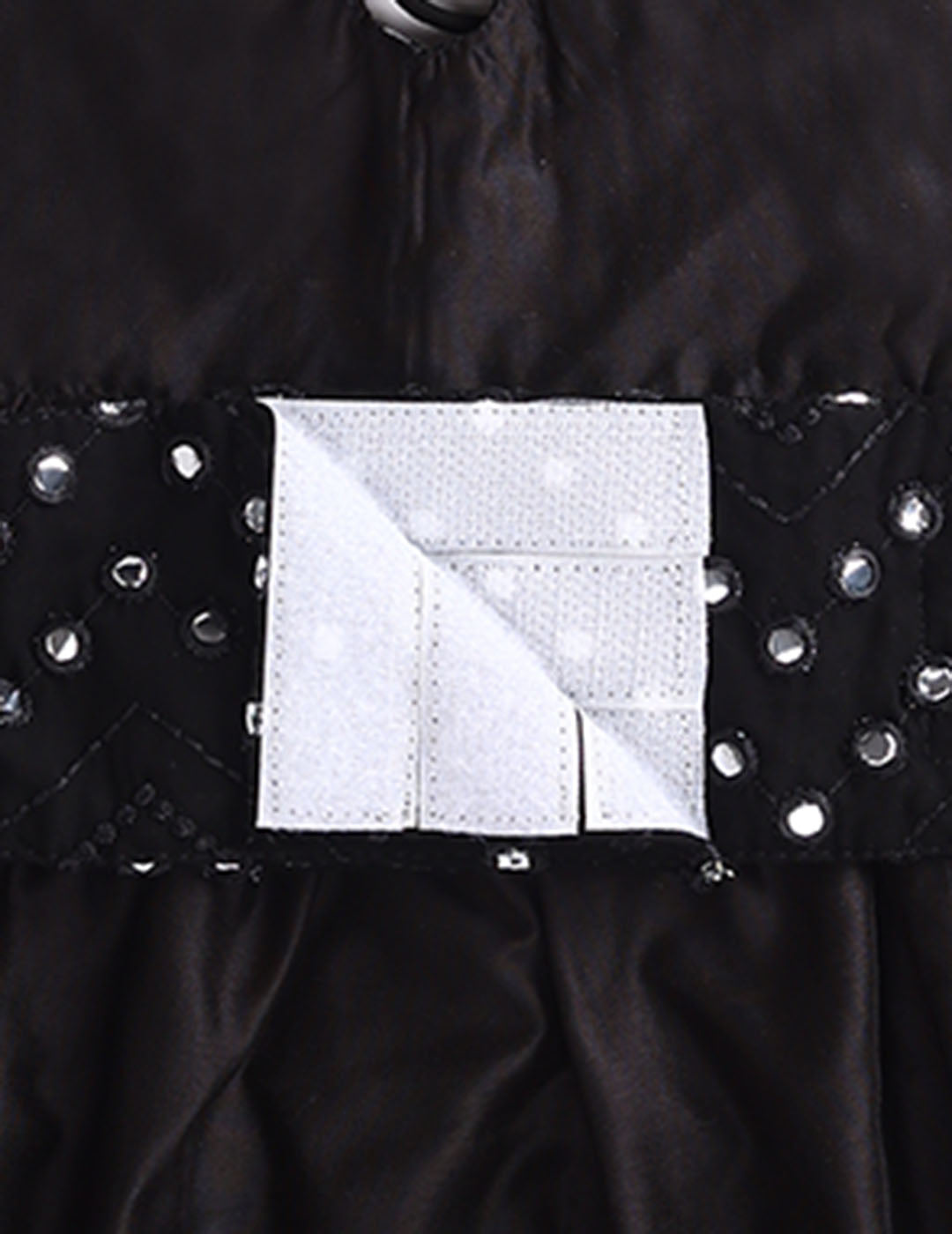 Dogs Allover Mirror Work Embroidered Dress