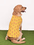 Dogs Allover Printed Rayon Sleeveless Kurta