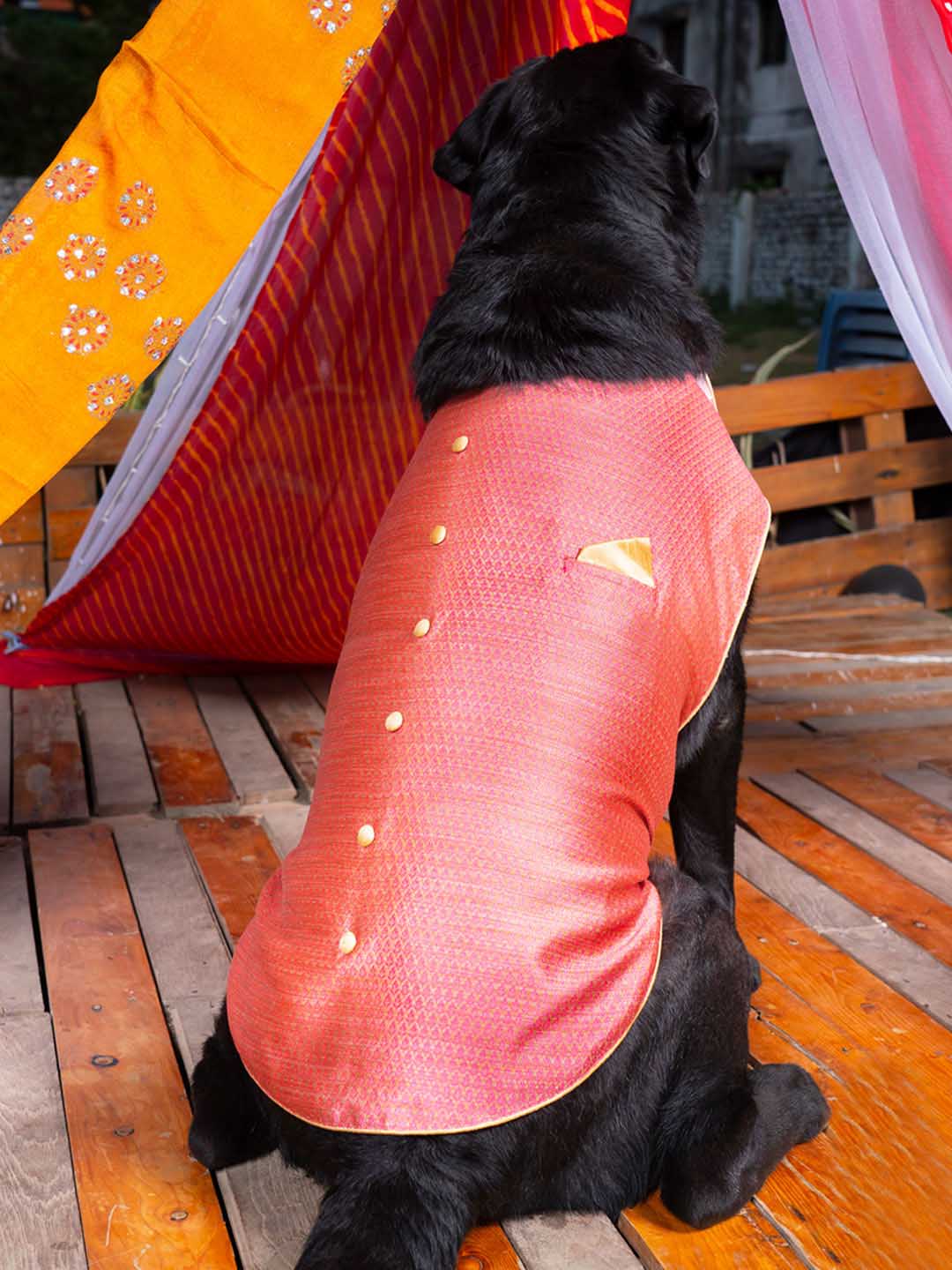 Dogs' Pink Woven Silk Blend Ethnic Jacket