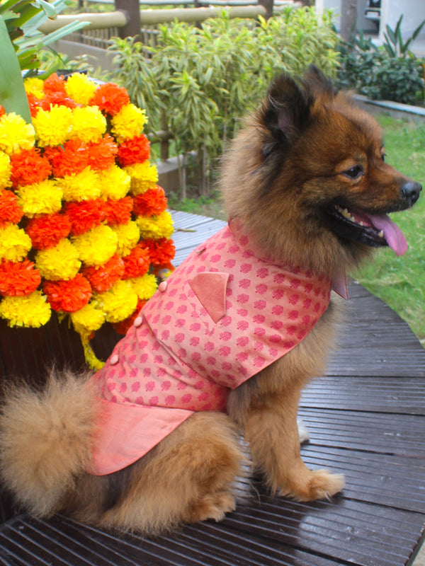 Dogs' Pink Block Printed Cotton Blend Jacket With Attached Solid Kurta