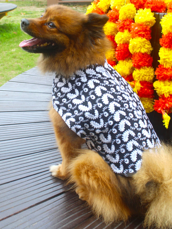 PAWS BY VASTRAMAY Dogs' Black Chikankari Pure Cotton Ethnic Kurta - Dogs Ethnic Wear by Vastramay - Black, Black Kurta, chikankari, Dog, Dog Apparel, Dog Ethnic Jacket, Dog Jacket, Large, Male dog outfits, Medium, Pure Cotton, Small