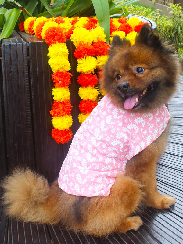 Dogs' Pink Chikankari Pure Cotton Ethnic Kurta
