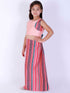 Girl's Pink Striped Skirt With Pink Crop Top