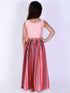 Girl's Pink Striped Skirt With Pink Crop Top