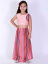 Girl's Pink Striped Skirt With Pink Crop Top