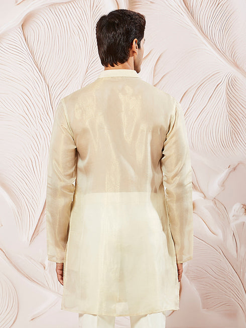 Men's Beige Tissue Silk Kurta