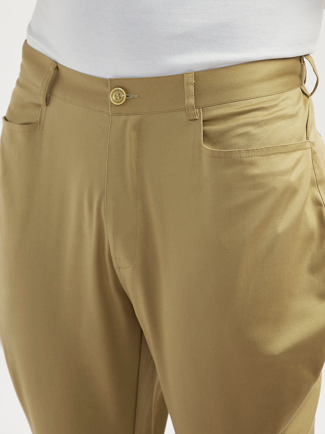 Men's Chiku - Jodhpuri pants