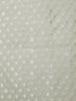 Men Sea Green Self Design Zari Work Undetermined Dupatta