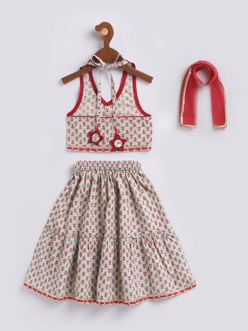 Girl's' Mint Green Lehenga Choli With Dupatta