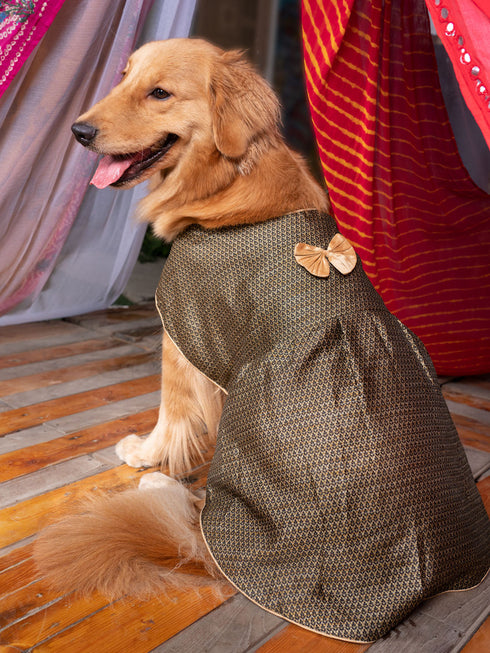 PAWS BY VASTRAMAY Dogs' Black Woven Silk Blend Dress - Dogs Ethnic Wear by Vastramay - Black, Dog, Dog Apparel, Dog Dress, Dog Ethnic Dress, female dog outfit, Large, Medium, Silk Blend, Small