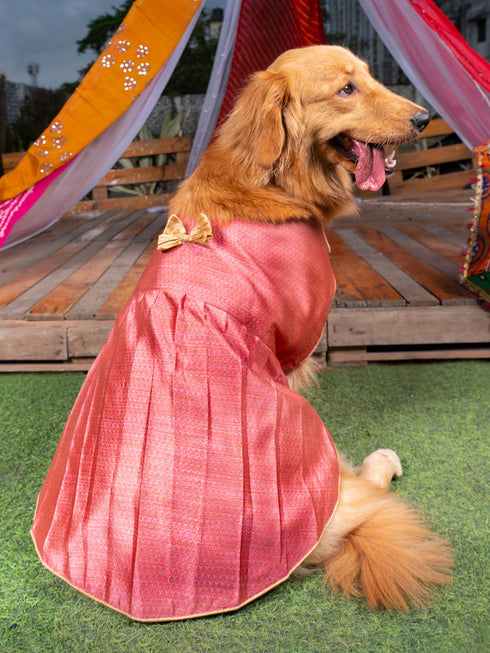 PAWS BY VASTRAMAY Dogs' Pink Woven Silk Blend Dress - Dogs Ethnic Wear by Vastramay - Dog, Dog Apparel, Dog Dress, Dog Ethnic Dress, female dog outfit, Large, Medium, Pink, Silk Blend, Small
