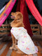 PAWS BY VASTRAMAY Dogs' Cream Floral Printed Cotton Blend Dress - Dogs Ethnic Wear by Vastramay - Dog, Dog Apparel, Dog Dress, Dog Ethnic Dress, female dog outfit, Large, Medium, Multicolor-Base-Cream, Silk Blend, Small