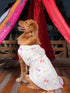 PAWS BY VASTRAMAY Dogs' Cream Floral Printed Cotton Blend Dress - Dogs Ethnic Wear by Vastramay - Dog, Dog Apparel, Dog Dress, Dog Ethnic Dress, female dog outfit, Large, Medium, Multicolor-Base-Cream, Silk Blend, Small