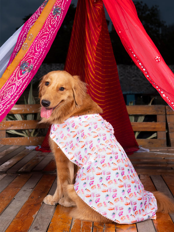 PAWS BY VASTRAMAY Dogs' White Abstract Printed Cotton Blend Dress - Dogs Ethnic Wear by Vastramay - Dog, Dog Apparel, Dog Dress, Dog Ethnic Dress, female dog outfit, Large, Medium, Multicolor-Base-White, Silk Blend, Small, White