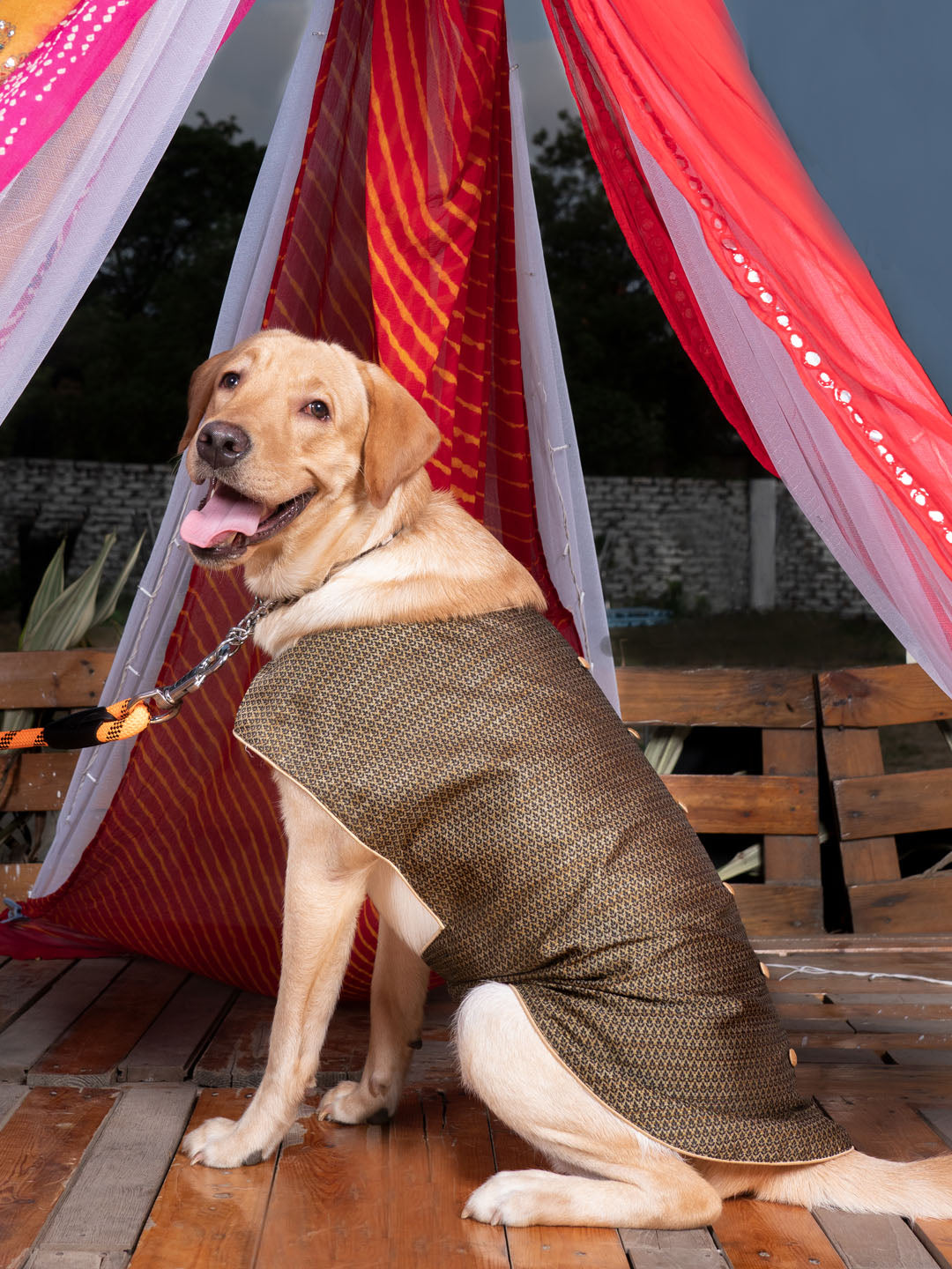 PAWS BY VASTRAMAY Dogs' Black Woven Silk Blend Ethnic Jacket - Dogs Ethnic Wear by Vastramay - Black, Dog, Dog Apparel, Dog Ethnic Jacket, Dog Jacket, Large, Male dog outfits, Medium, Silk Blend, Small