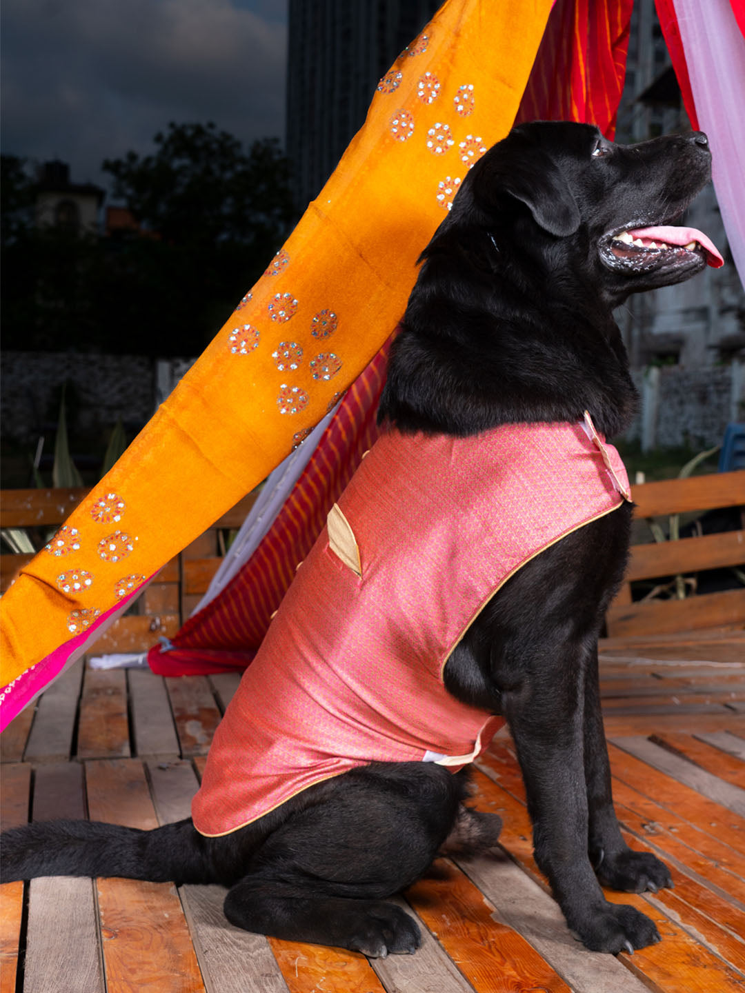 PAWS BY VASTRAMAY Dogs' Pink Woven Silk Blend Ethnic Jacket - Dogs Ethnic Wear by Vastramay - Dog, Dog Apparel, Dog Ethnic Jacket, Dog Jacket, Large, Male dog outfits, Medium, Pink, Silk Blend, Small, Woven