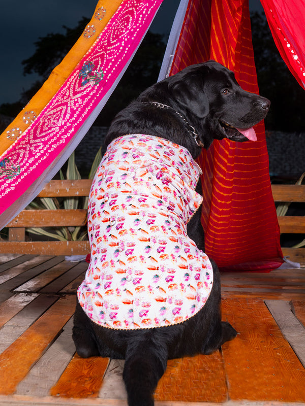 PAWS BY VASTRAMAY Dogs' White Abstract Printed Cotton Blend Ethnic Jacket - Dogs Ethnic Wear by Vastramay - Dog, Dog Apparel, Dog Ethnic Jacket, Dog Jacket, Large, Male dog outfits, Medium, Multicolor-Base-White, Muslin, Printed, Small, White
