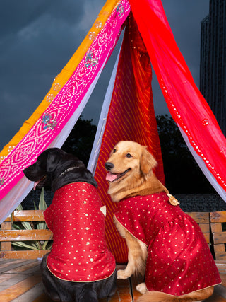 Vastramay Maroon And Gold Silk Blend Siblings Set For Dogs
