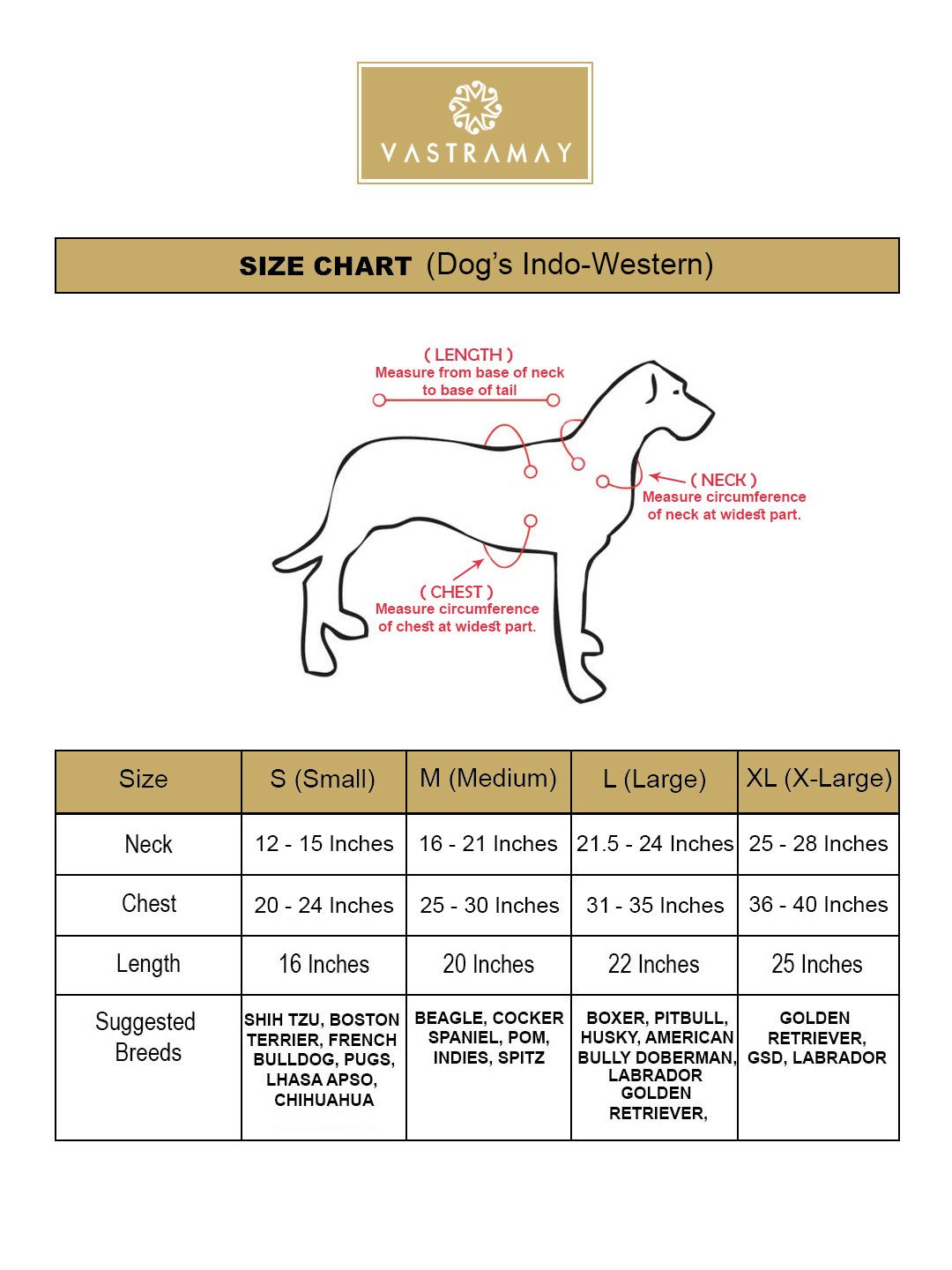 Dogs Solid Indo-Western