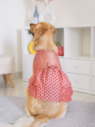 PAWS BY VASTRAMAY Dogs' Pink Printed Flared Frock With Attached Bow