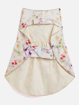 PAWS BY VASTRAMAY Dogs' Cream Floral Printed Cotton Blend Dress