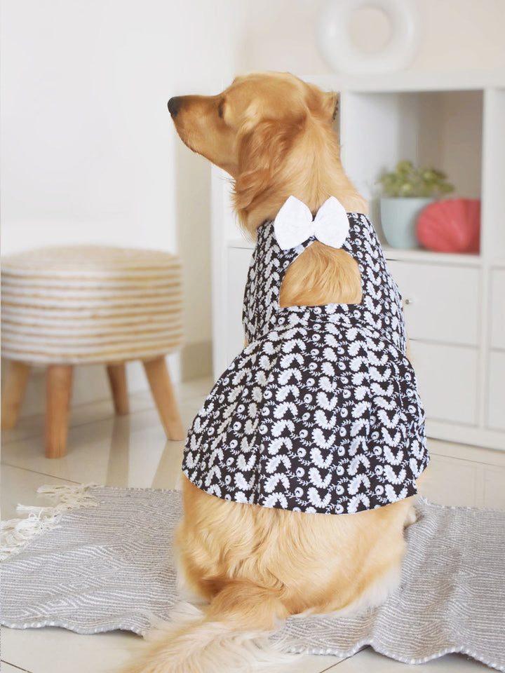 PAWS BY VASTRAMAY Dogs&