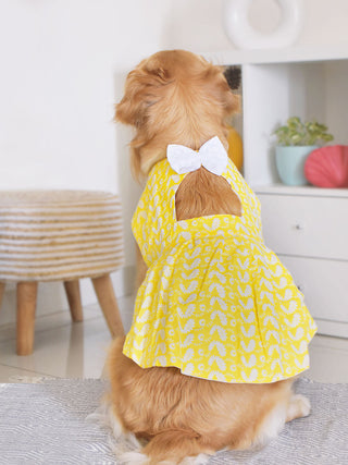 PAWS BY VASTRAMAY Dogs' Yellow Chikankari Flared Dress With Attached Bow - Dogs Ethnic Wear by Vastramay - chikankari, Dog, Dog Apparel, Dog Dress, Dog Ethnic Dress, female dog outfit, Medium, Pure Cotton, Small, Yellow