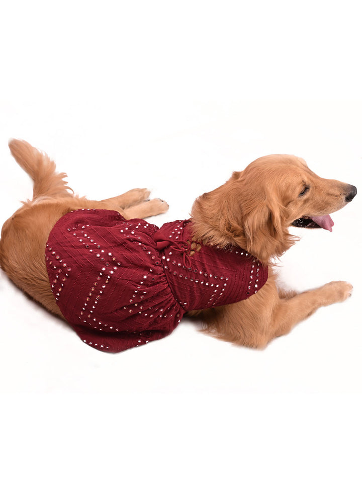 Dogs Allover Mirror Work Slik Blend Embroidered Dress