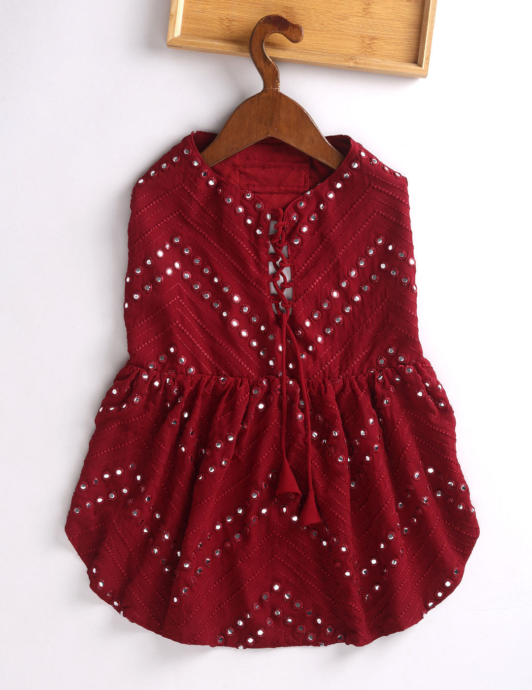 Dogs Allover Mirror Work Slik Blend Embroidered Dress