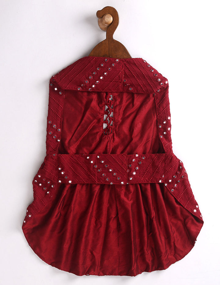 Dogs Allover Mirror Work Slik Blend Embroidered Dress