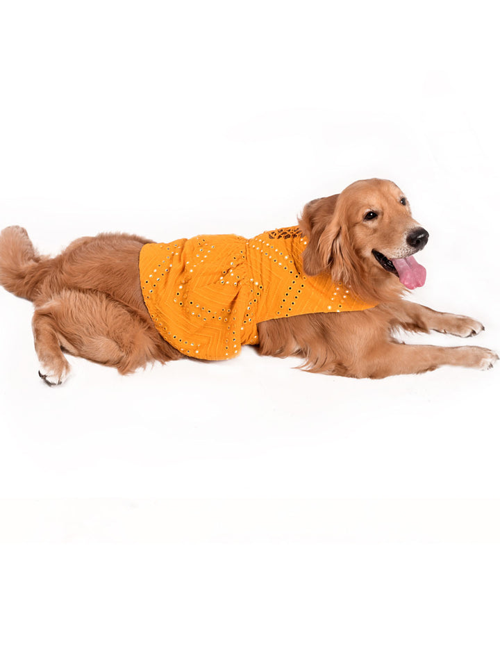 Dogs Allover Mirror Work Sleeveless Embroidered Dress