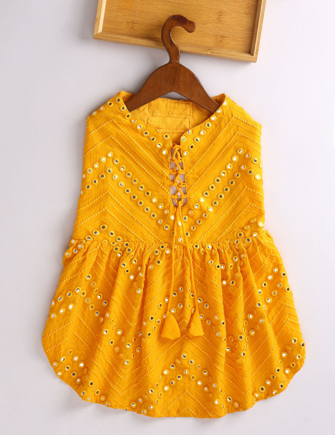 Dogs Allover Mirror Work Sleeveless Embroidered Dress