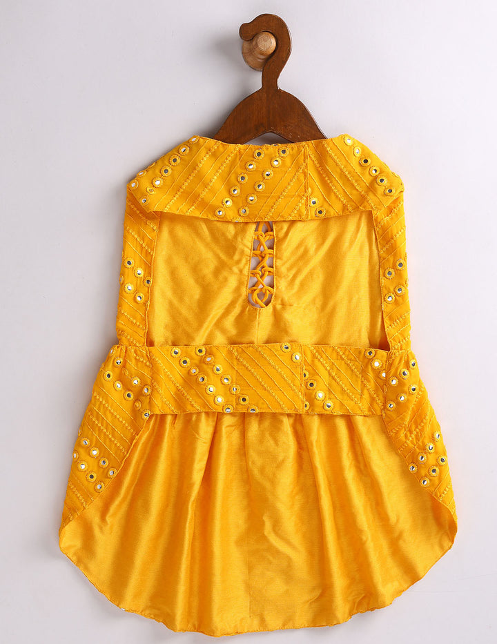 Dogs Allover Mirror Work Sleeveless Embroidered Dress