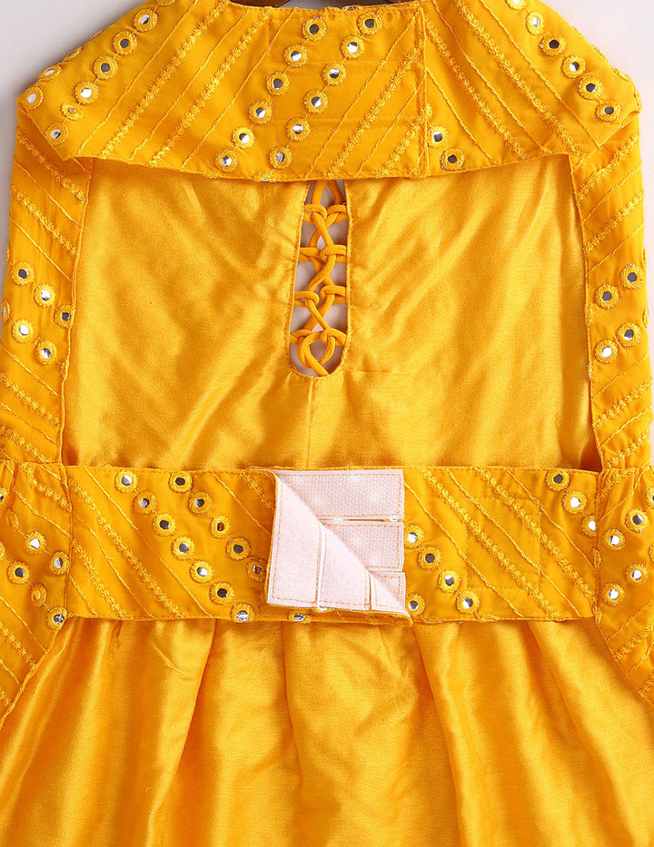 Dogs Allover Mirror Work Sleeveless Embroidered Dress