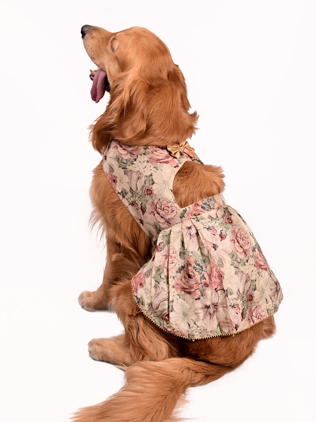 Dogs Allover Printed Silk Blend Mandarin Collar Dress