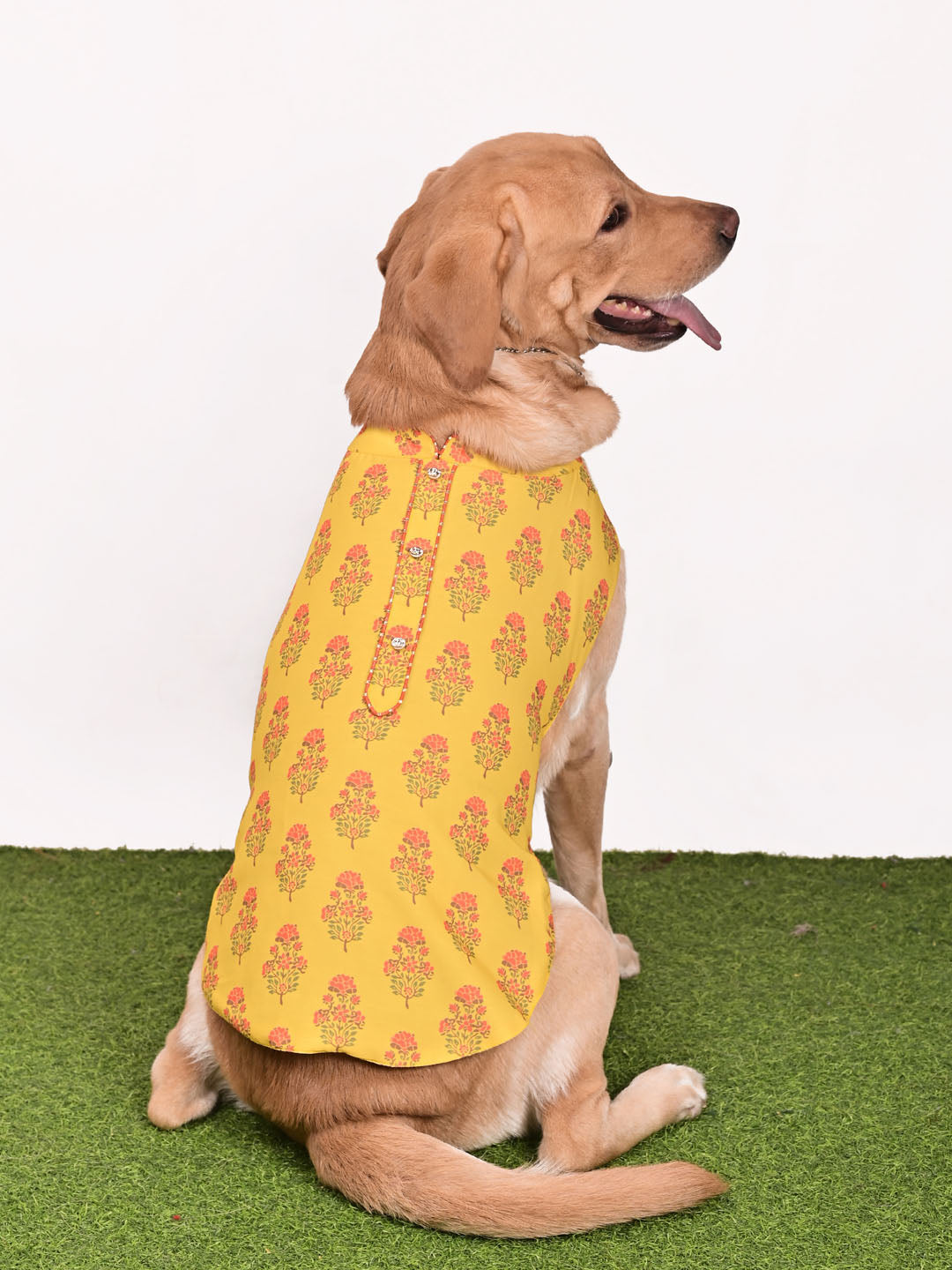 Dogs Allover Printed Rayon Sleeveless Kurta