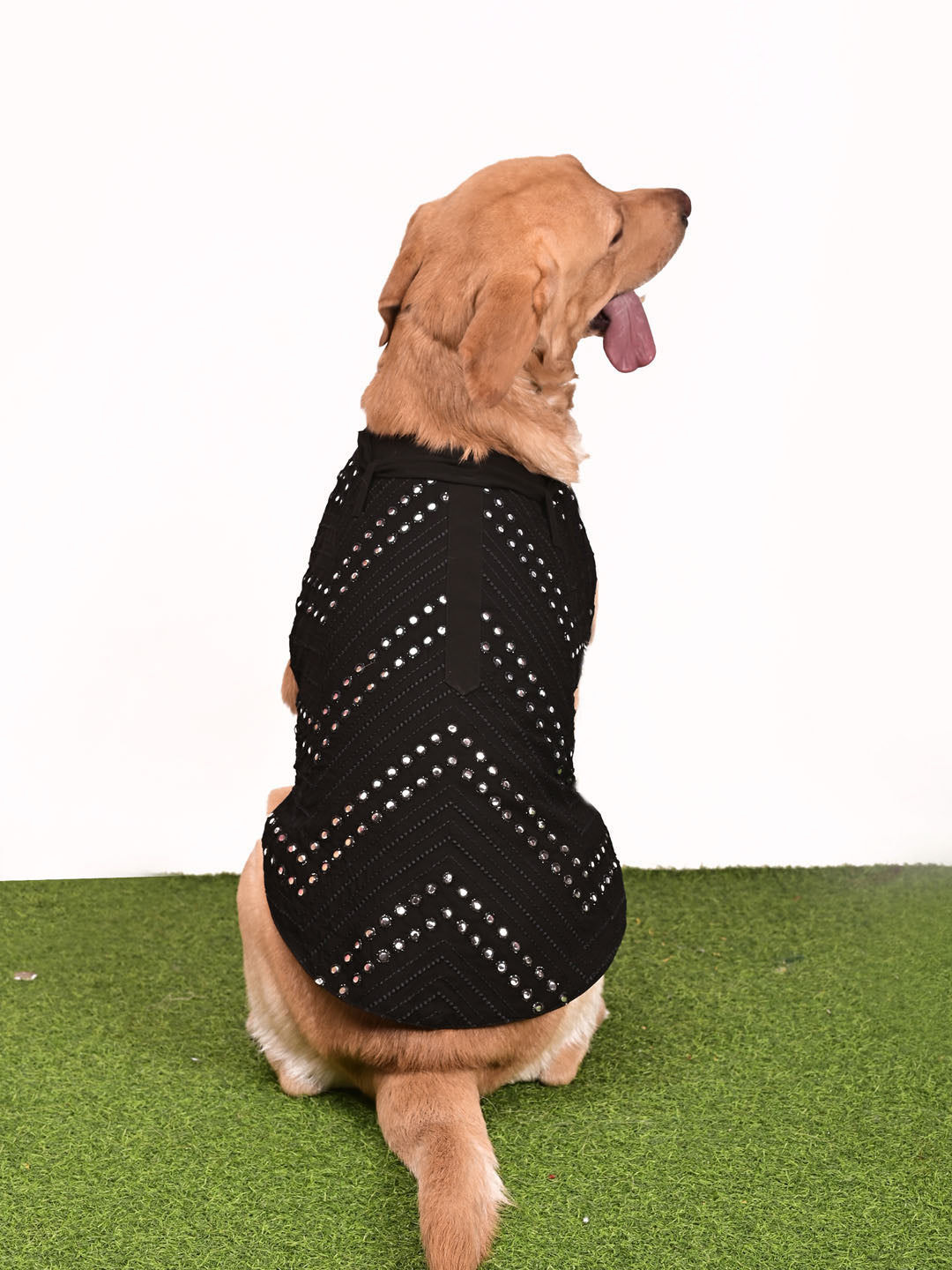 Dogs Allover Mirror Work Embroidered Kurta With Dupatta