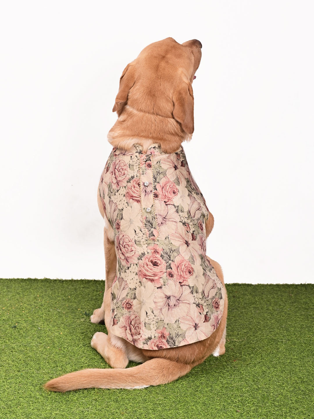 Dogs Allover Printed Silk Blend Ethnic Jacket