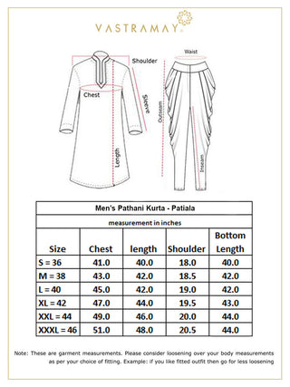 VM By VASTRAMAY Men's Grey Cotton Blend Pathani Suit Set